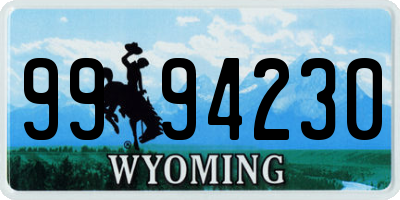 WY license plate 9994230