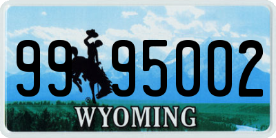 WY license plate 9995002