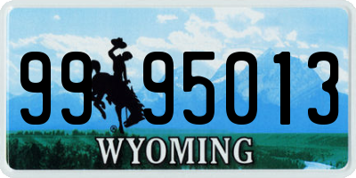 WY license plate 9995013