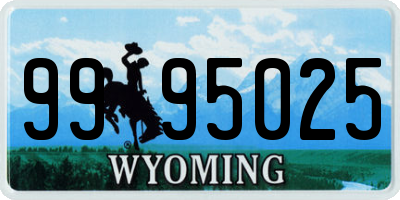 WY license plate 9995025