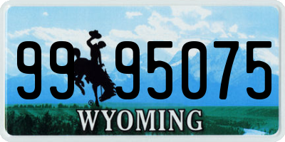 WY license plate 9995075