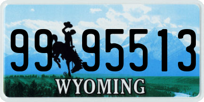 WY license plate 9995513