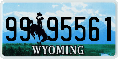 WY license plate 9995561