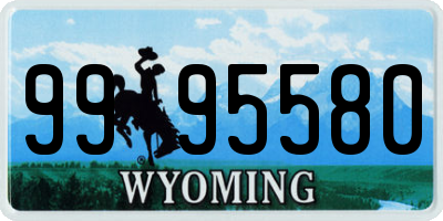 WY license plate 9995580