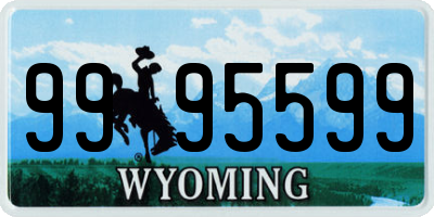 WY license plate 9995599