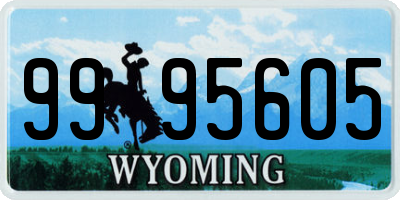 WY license plate 9995605