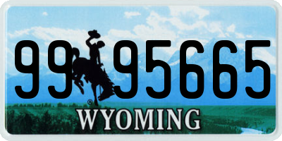 WY license plate 9995665