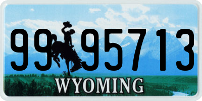 WY license plate 9995713