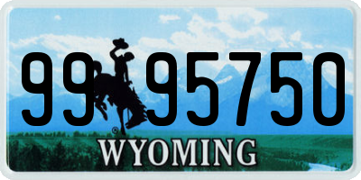 WY license plate 9995750
