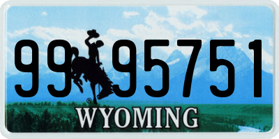 WY license plate 9995751