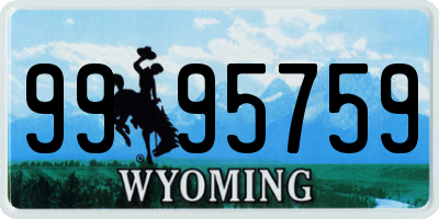 WY license plate 9995759