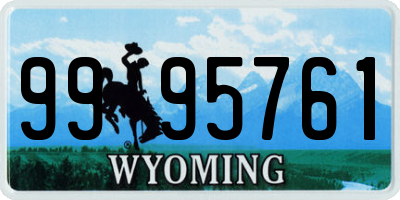 WY license plate 9995761