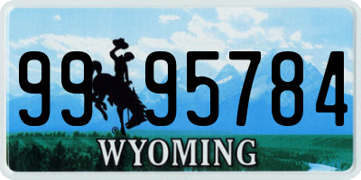 WY license plate 9995784