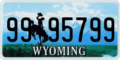 WY license plate 9995799