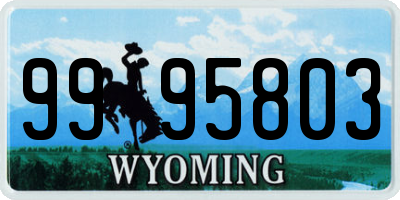 WY license plate 9995803