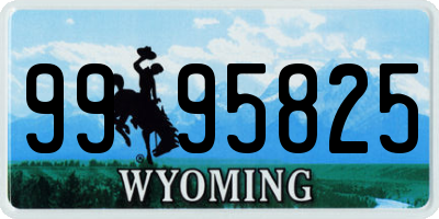 WY license plate 9995825