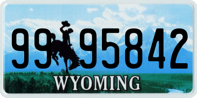 WY license plate 9995842