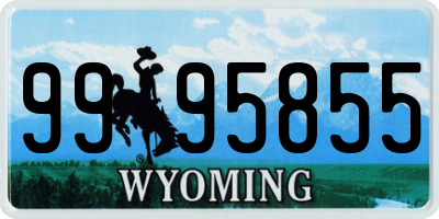 WY license plate 9995855