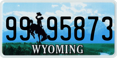 WY license plate 9995873