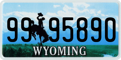 WY license plate 9995890