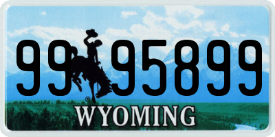 WY license plate 9995899
