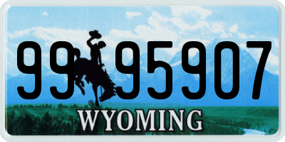 WY license plate 9995907