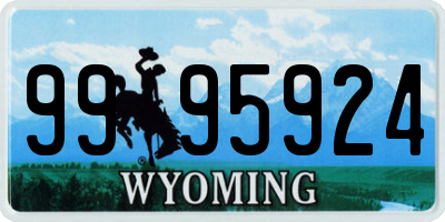 WY license plate 9995924