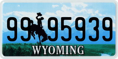 WY license plate 9995939
