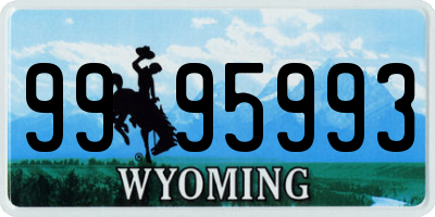 WY license plate 9995993