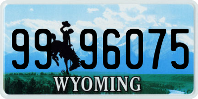WY license plate 9996075