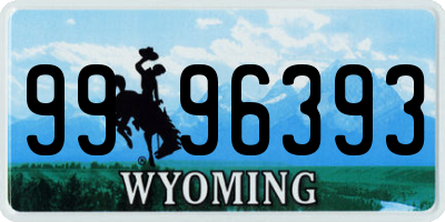 WY license plate 9996393
