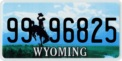 WY license plate 9996825