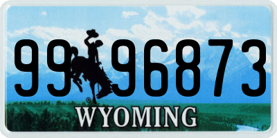 WY license plate 9996873