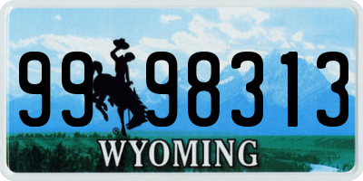 WY license plate 9998313