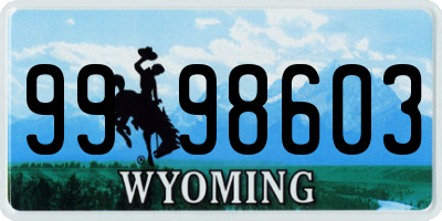 WY license plate 9998603