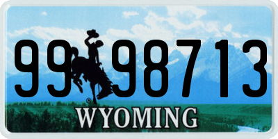 WY license plate 9998713