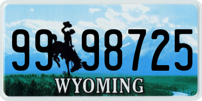 WY license plate 9998725