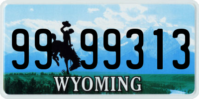 WY license plate 9999313