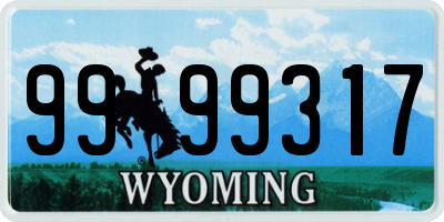 WY license plate 9999317