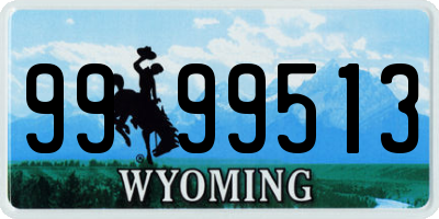 WY license plate 9999513