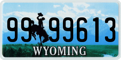 WY license plate 9999613