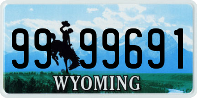 WY license plate 9999691