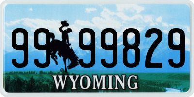 WY license plate 9999829