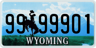 WY license plate 9999901