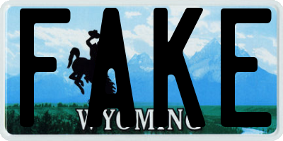 WY license plate FAKE